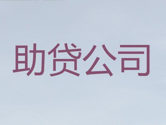 随州抵押贷款公司-银行信用贷款